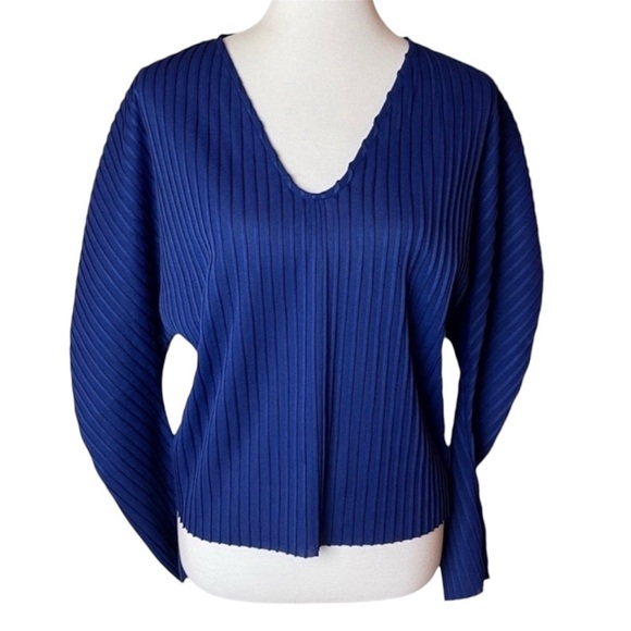 NWT Zara Trafaluc Blue Long Sleeved Stripe Textured V-Neck Top - Size Small - Picture 1 of 12